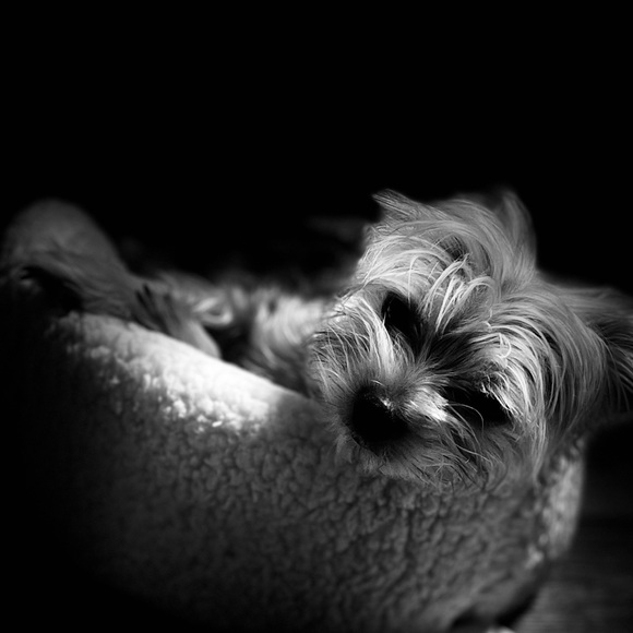 Meet your Posher, Na - Picture 10 of 11